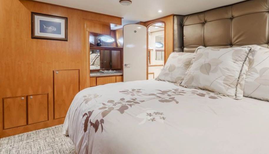 Tribeless for sale 221