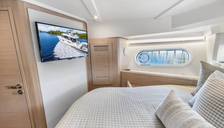 NEVERLAND for sale 26