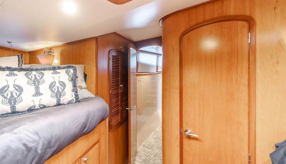 Tribeless for sale 316