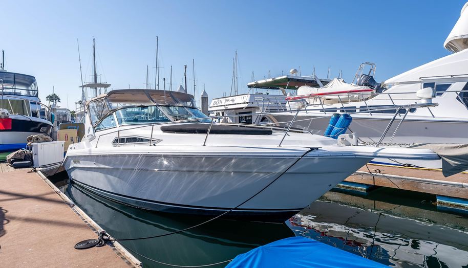 Sea Oddity for sale 1