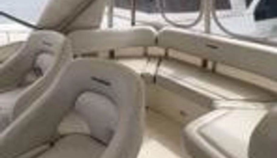 Lady Zette for sale 16