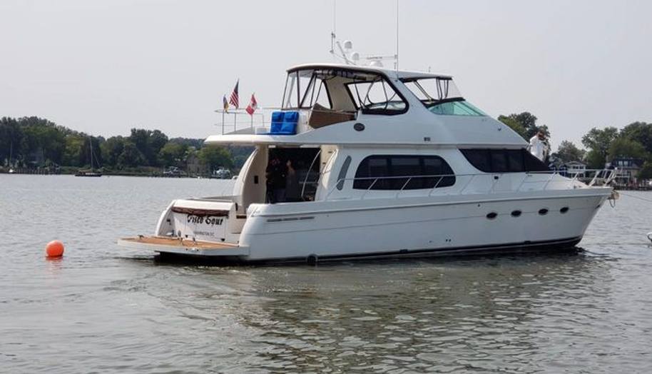 PISCO SOUR for sale 1