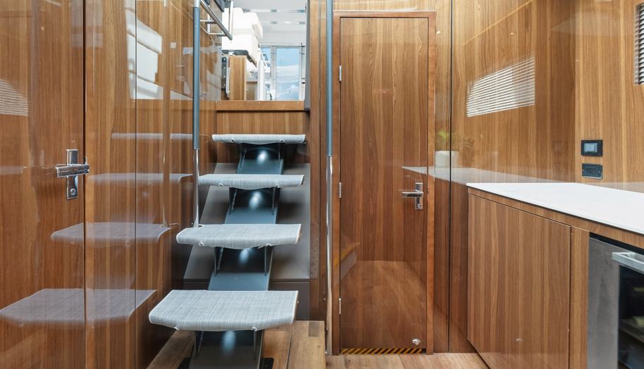 Tropical Dreamer for sale 41