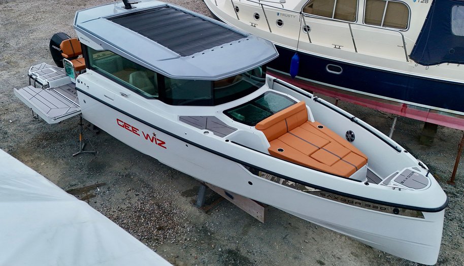GEE WHIZZ for sale 1
