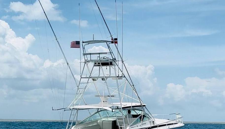 El Caiman for sale 6