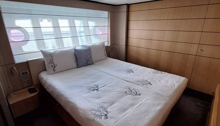 White Swan for sale 16
