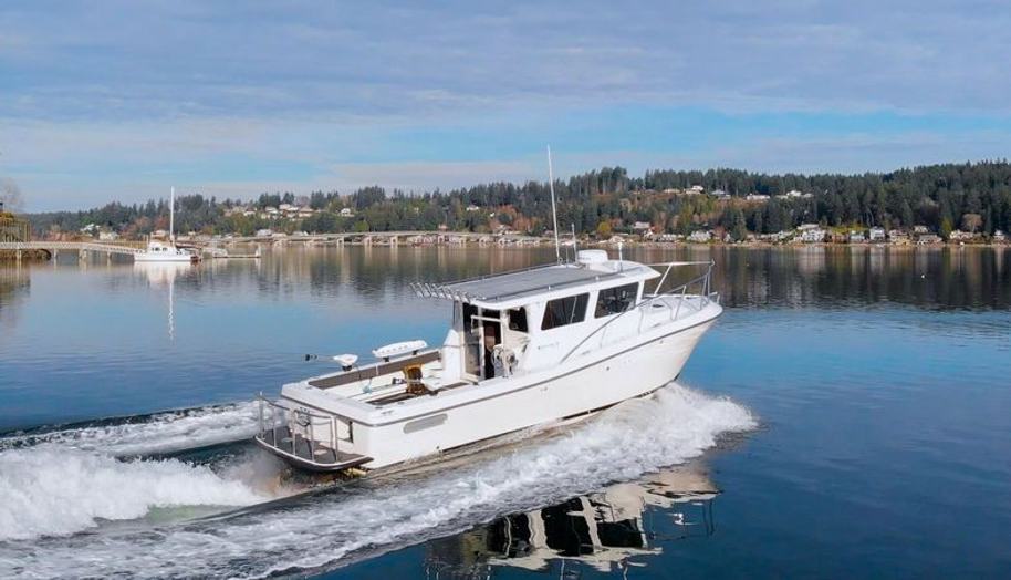 Stay Thirsty for sale 1