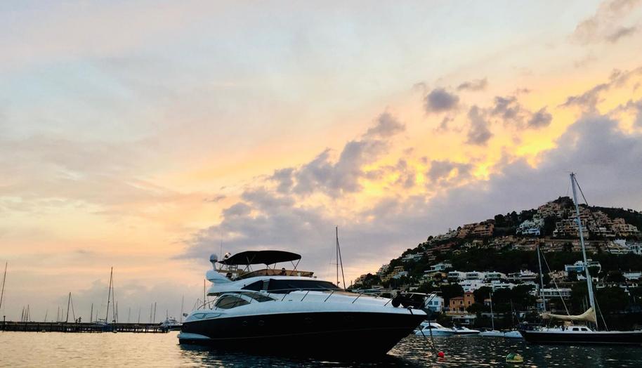 STABILIZED Gotama Uno for sale 6