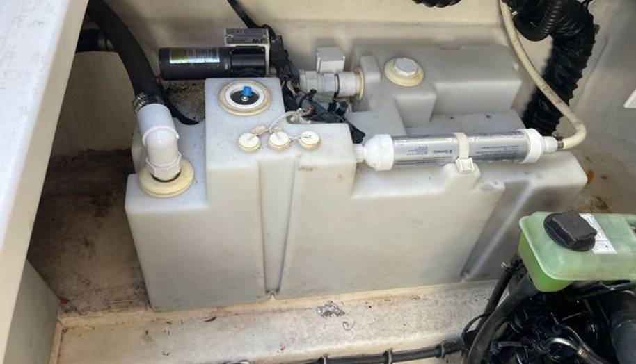 SEAHORSE for sale 36