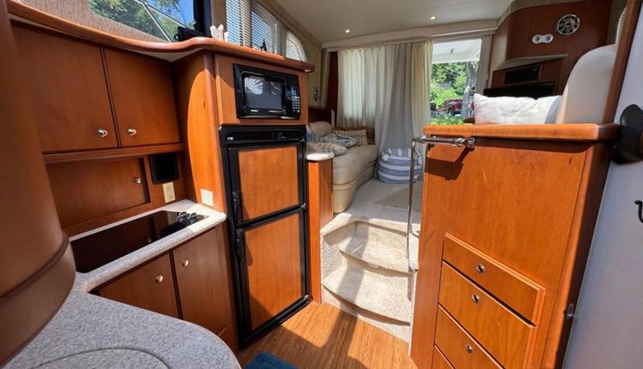 Lady Zette for sale 6