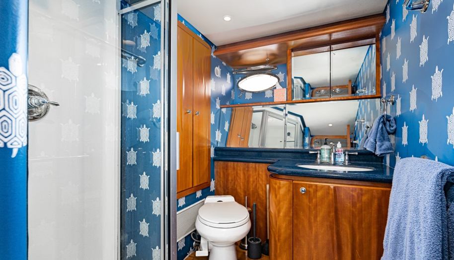 MAHANA for sale 31