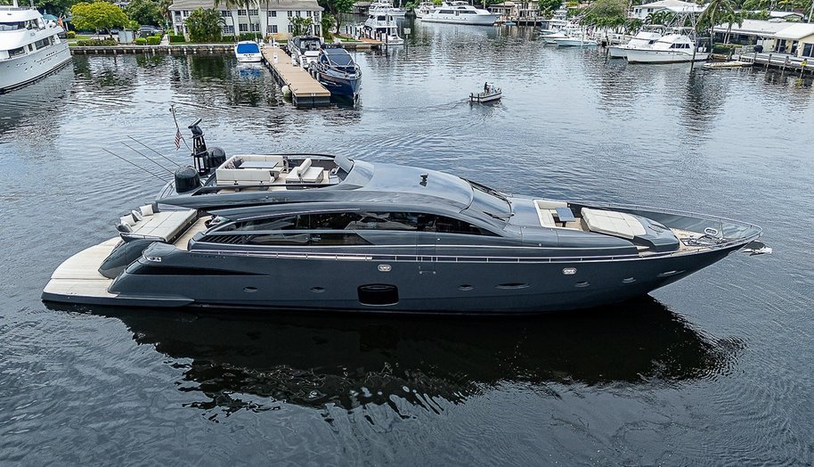 Coal Blooded for sale 1