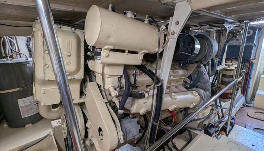 Mas Fina for sale 46