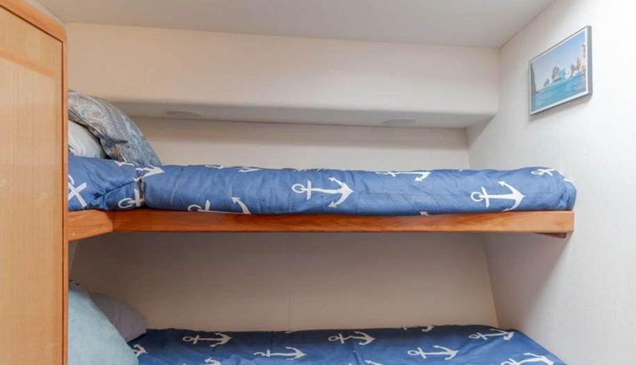 Triumph for sale 221