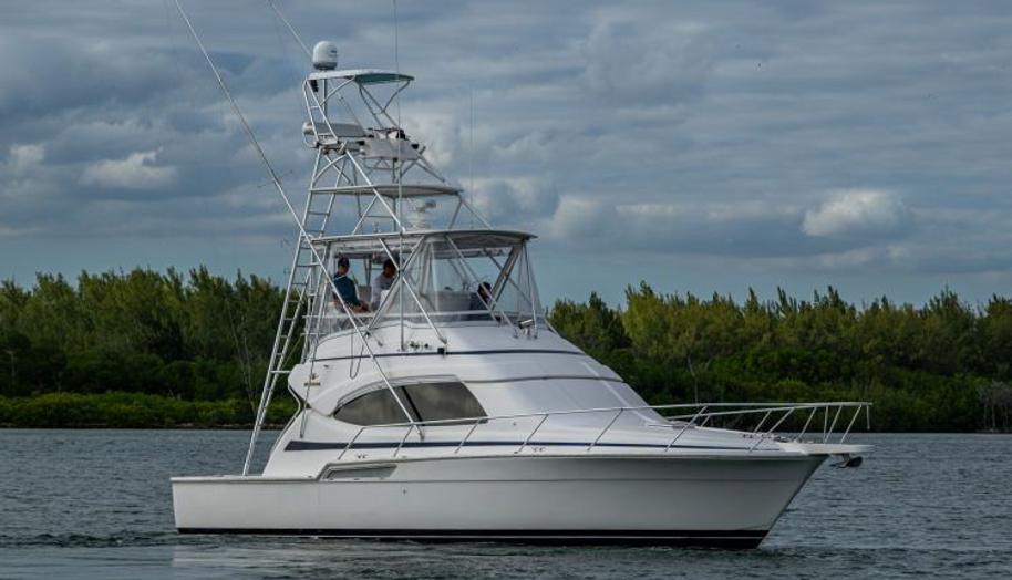 VET BILLZ for sale 1