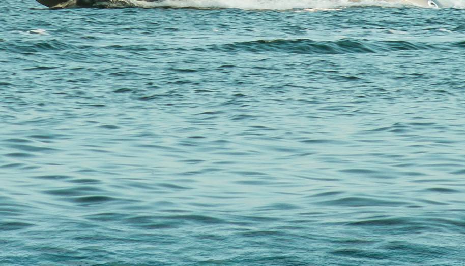 Seven Seas Yachts Venus Speedster X 32ft for sale 16