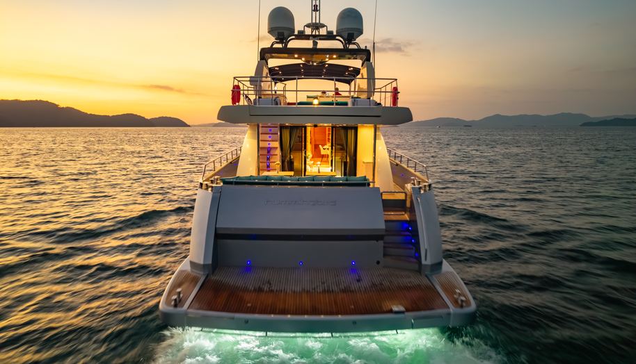 HUMMINGBIRD for sale 6