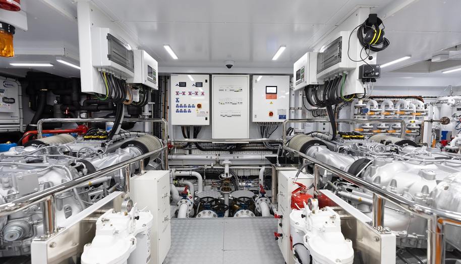 Half Irish for sale 41