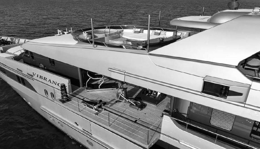VIBRANCE for sale 51