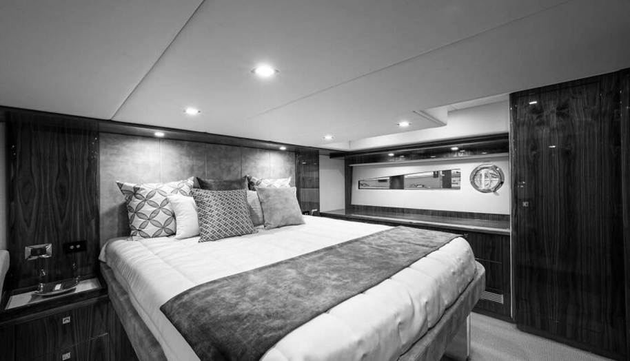 Greyhound for sale 61