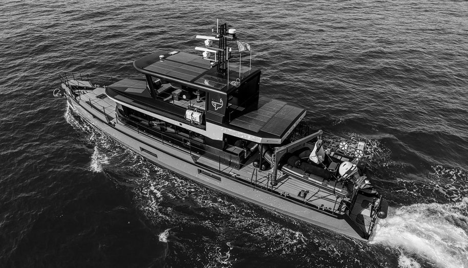 VANGUARD for sale 31