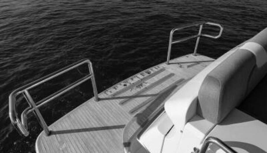 Greyhound for sale 16