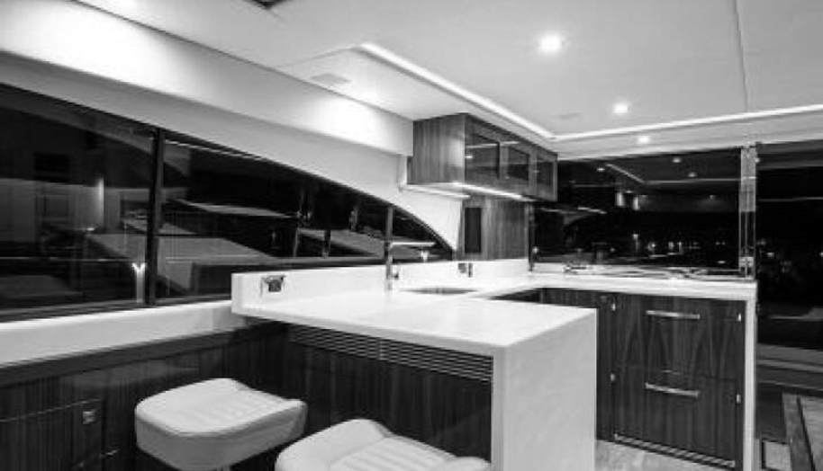 Greyhound for sale 36