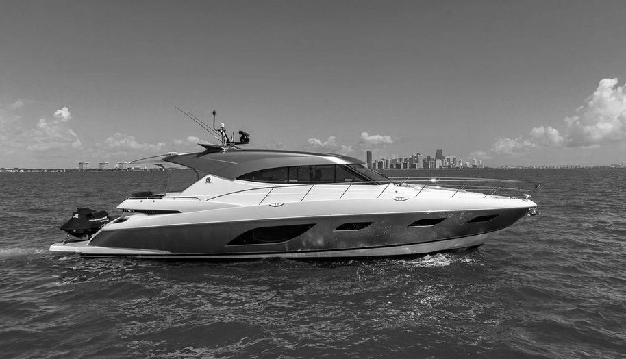 Bald Eagle for sale 6