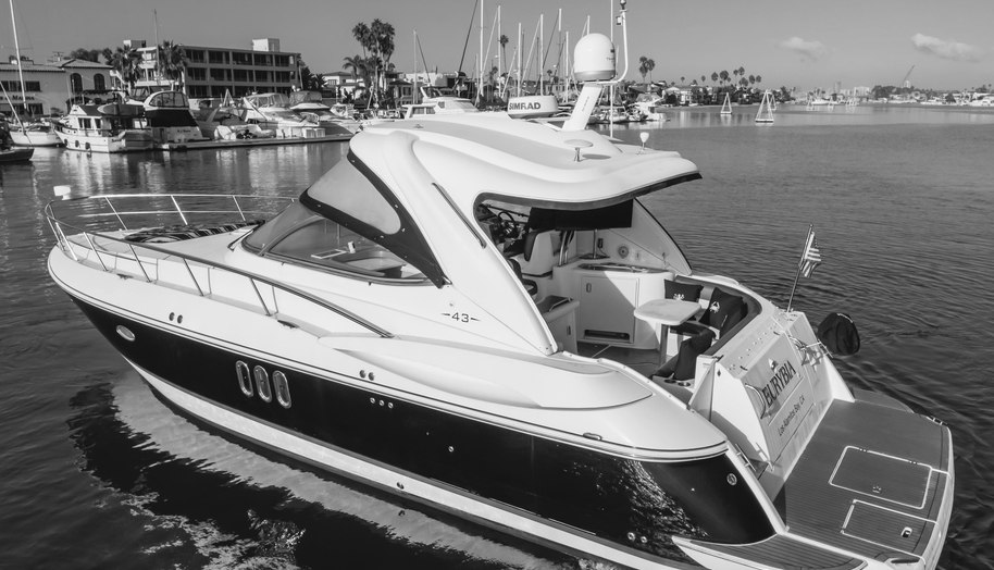Eurybia for sale 16
