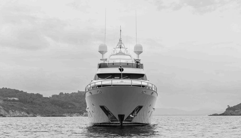 COCONUTS for sale 26