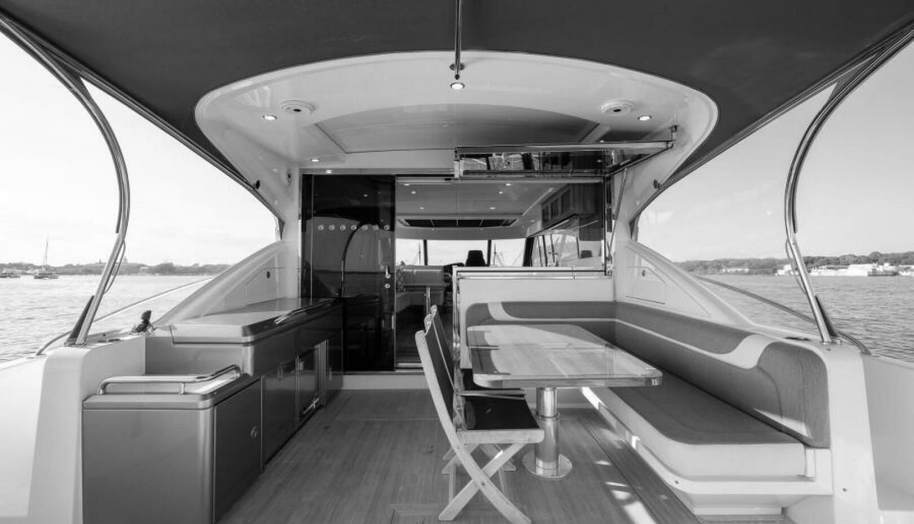 Greyhound for sale 21