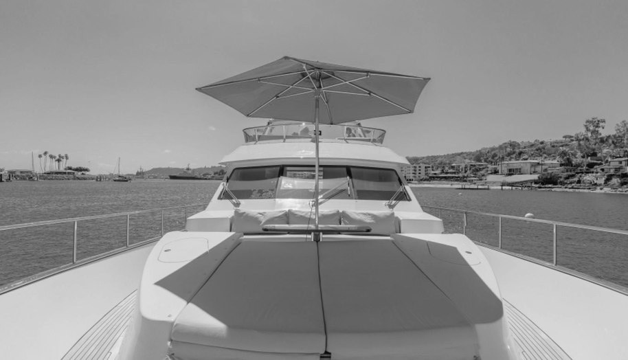 GYRFALCON for sale 51