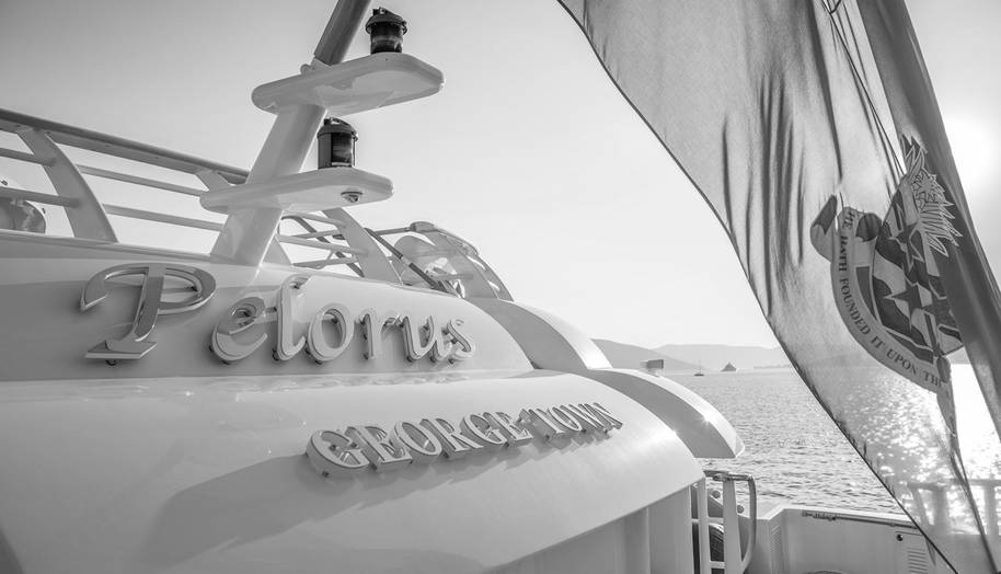 PELORUS for sale 46