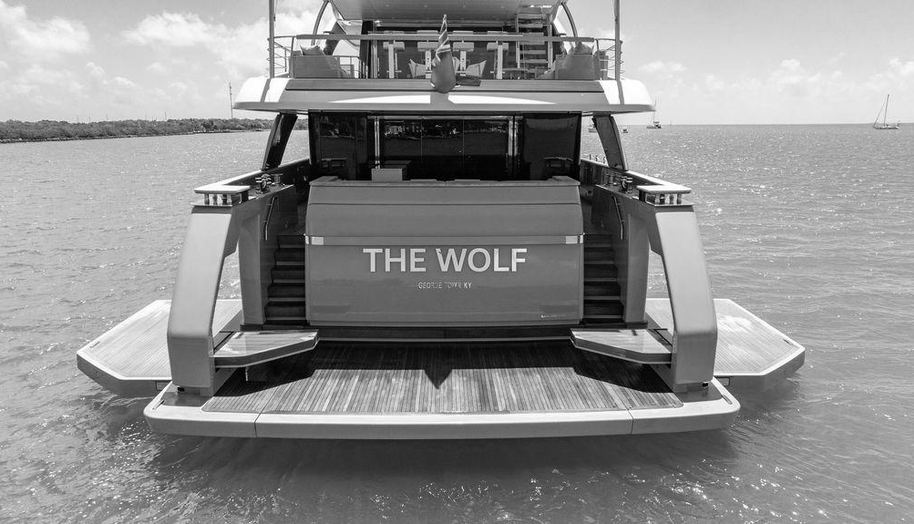 THE WOLF for sale 16