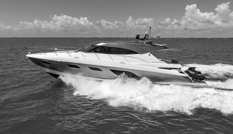 Bald Eagle for sale 1