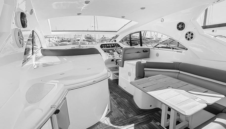 BIRDY 6 for sale 16