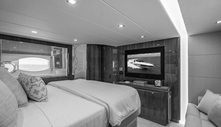 Bald Eagle for sale 61