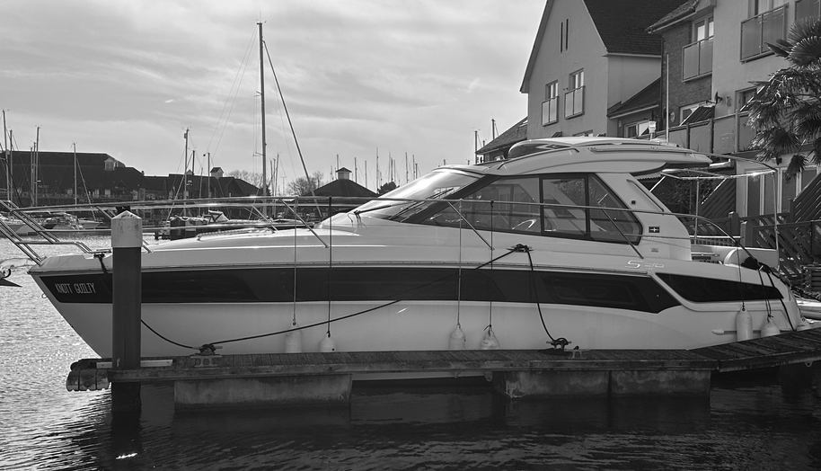 Knot Guilty for sale 11