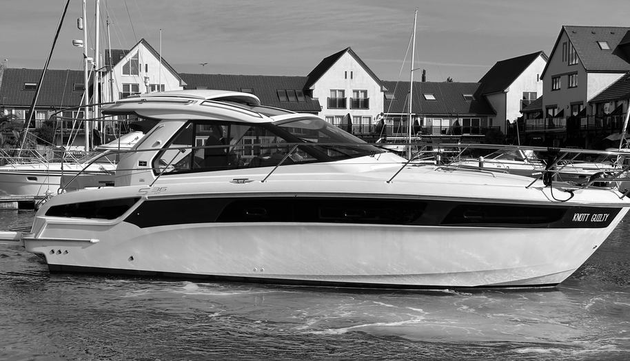 Knot Guilty for sale 16