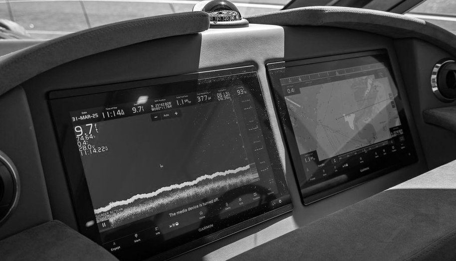 Bald Eagle for sale 46