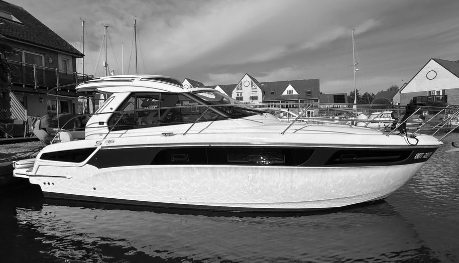 Knot Guilty for sale 1