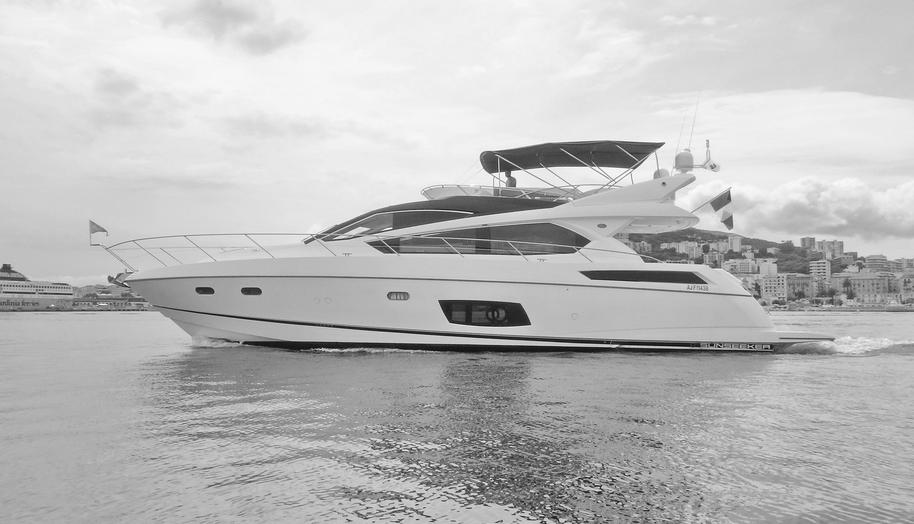VITALE for sale 6