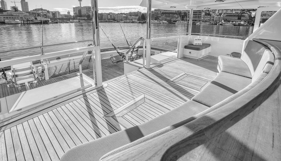 ICE BEAR for sale 26