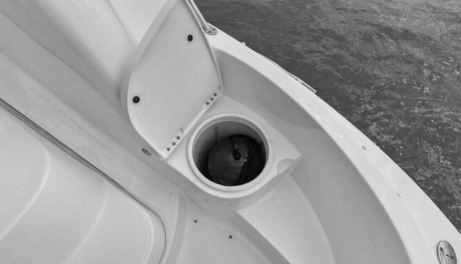 MR. BLUE SKY for sale 36