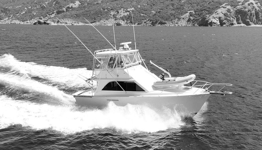 Aqua Ma'am for sale 1