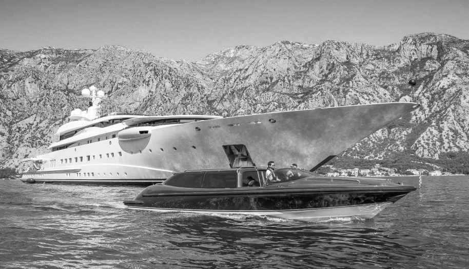 Pelorus for sale 21