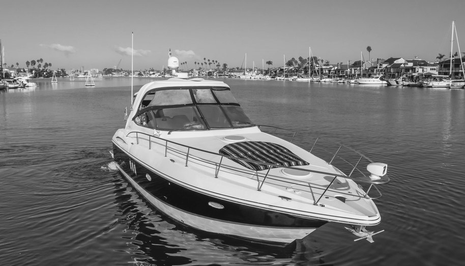 Eurybia for sale 11