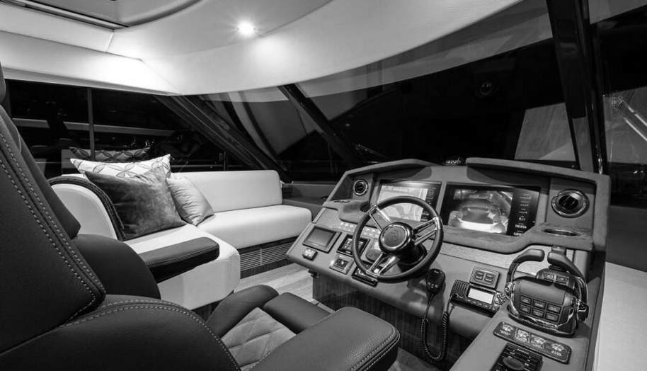 Greyhound for sale 41