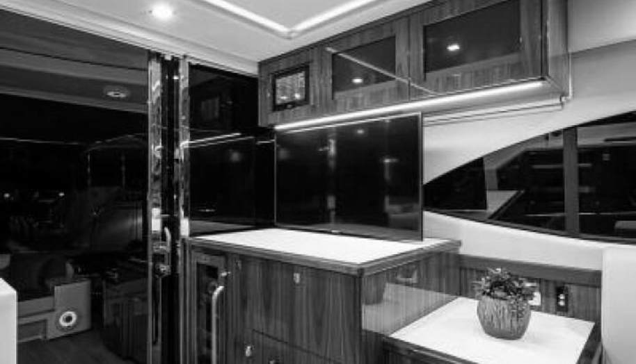 Greyhound for sale 31