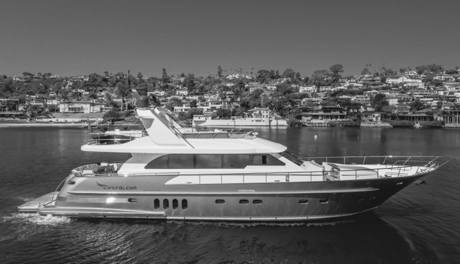 GYRFALCON for sale 6